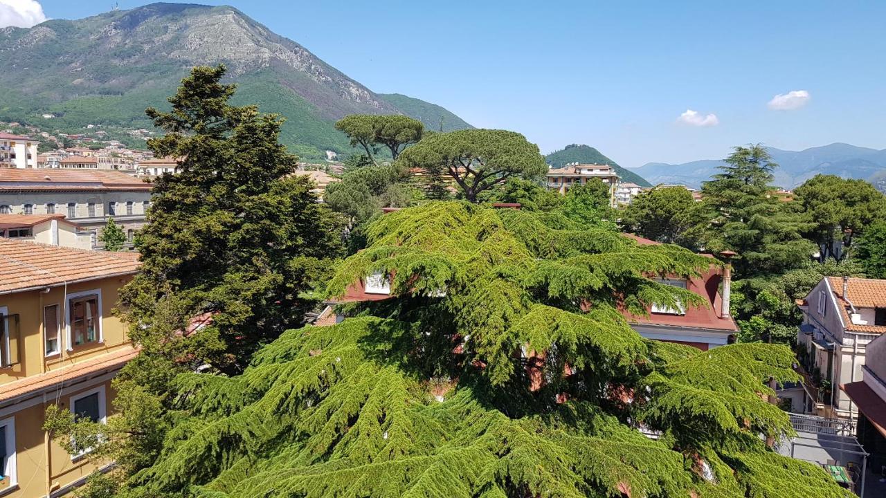 B&B Il Cedro Cava deʼ Tirreni Dış mekan fotoğraf