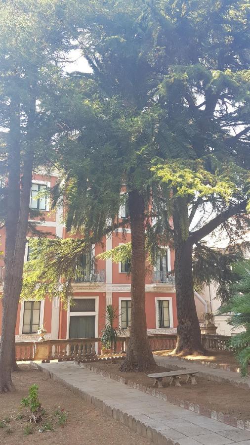B&B Il Cedro Cava deʼ Tirreni Dış mekan fotoğraf
